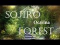 フォレスト 宗次郎 全8曲 Forest Sojiro 8 Songs フォレスト 宗次郎 全8曲 Forest Sojiro 8 Songs