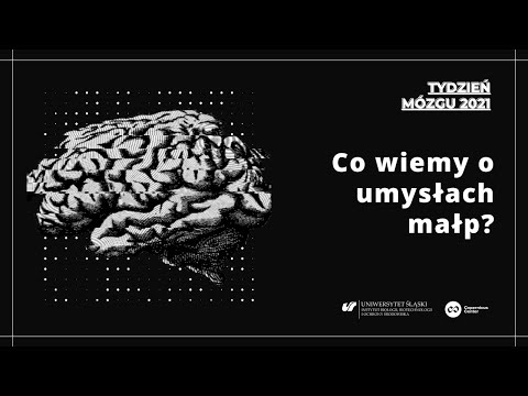 Wideo: Czy Rok Ognistej Małpy Będzie łatwy?