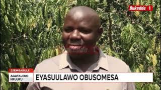 Agataliiko Omulimi asinga 2025 Eyasuulawo obusomesa n’atandika okulima emmwanyi n’ensuku teyejjusa