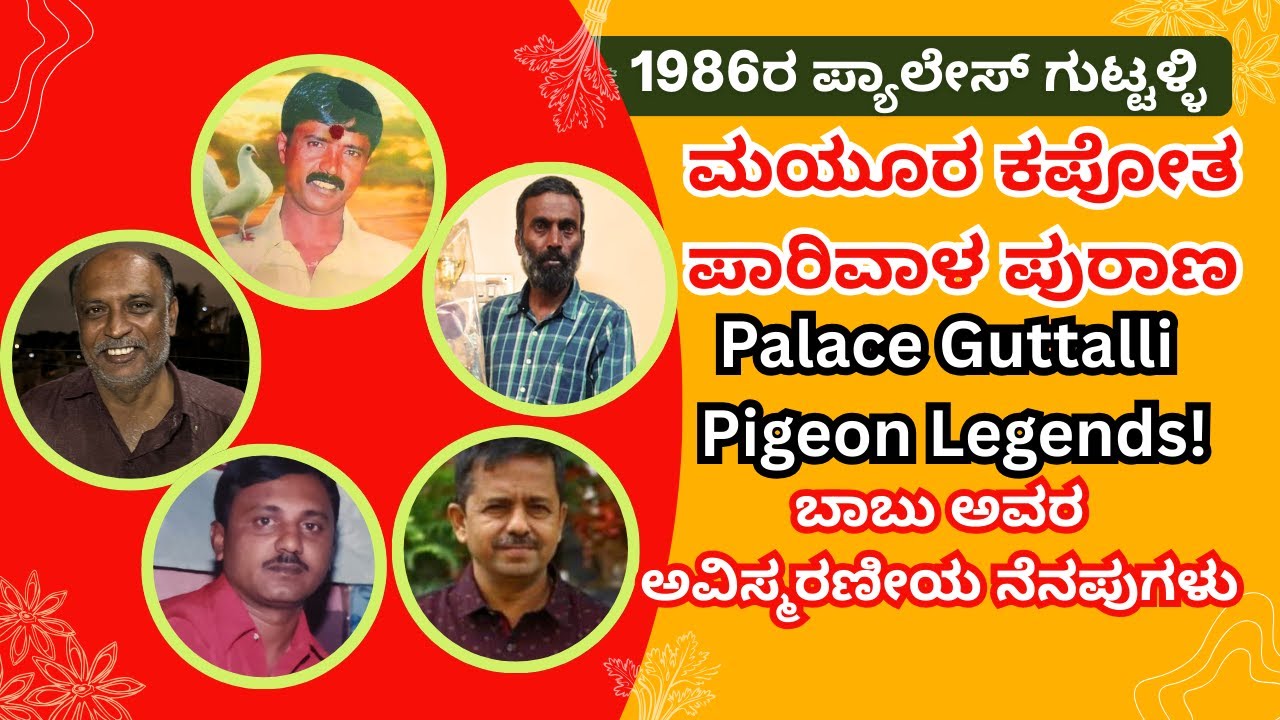 Karnataka’s Old Pigeon Racing Era Explained: Mayura Kapota, Muneshwara Daavadi Flights & Babu’s
