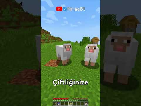 Video: Minecraft'ta Bir Çeteye Nasıl İsim Verilir (Resimlerle)