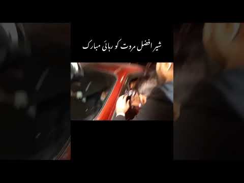 "عمران خان زندہ باد"کے نعروں کی گونج میں شیر افضل مروت کوٹ لکھپت جیل سے رہا۔