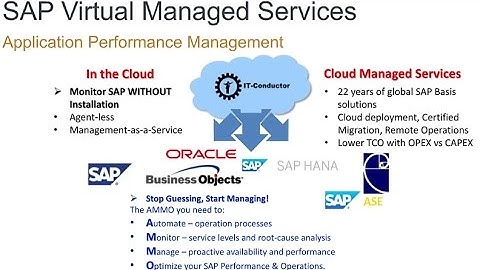 SAP HANA on AWS - Deployment, Monitoring and Performance Management