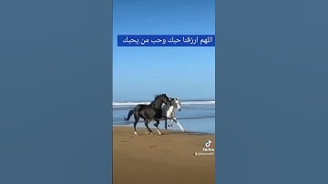 ما تيسر من سورة إبراهيم