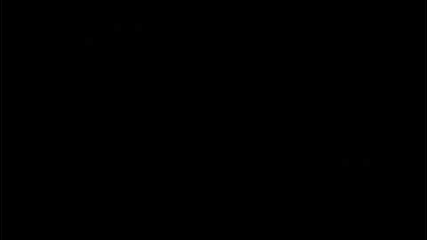 Andrew Bird - Fake Palindromes Lyrics