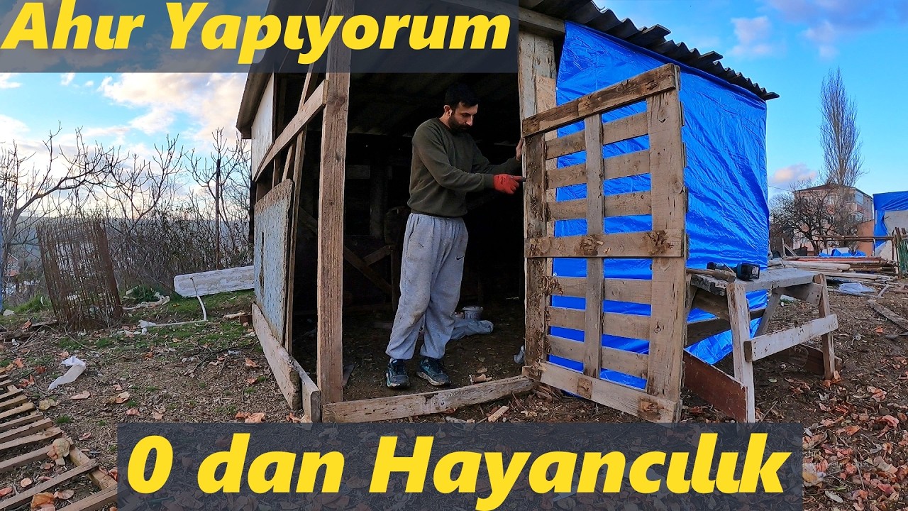 Ön Tepe Beyaz Kaçtı!-/Ahır'ın %80i bitti!-Diğer Güvercinler Yumurtlamış!#güvercin #tavuk
