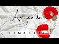 Timeflies - Are You Down (Audio)