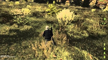 Dayz Dance Hack