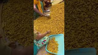 हलद दखए कस बनत ह Turmeric Making In Factory