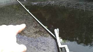 Wastewater clarifier skimmer