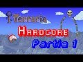  linkdam  terraria hardcore partie 1  une qute prilleuse 