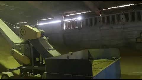 Self-propelled grain loader PZM-170B + JCB front loader = fast grain loading. Filmed in Germany