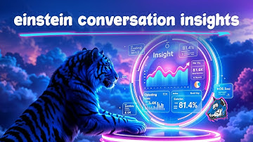 Salesforce Einstein Conversation Insights: Reporting & Analytics