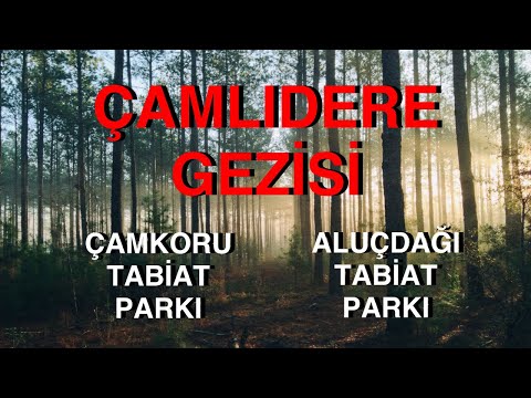 ÇAMLIDERE GEZİSİ | ÇAMKORU TABİAT PARKI | ALUÇDAĞI TABİAT PARKI