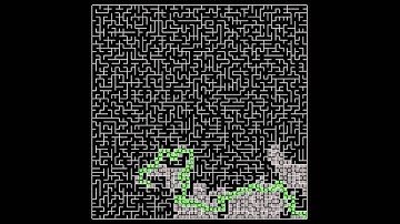 Maze Depth First Search