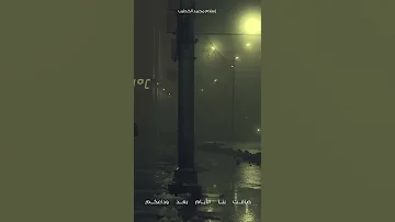 ما كل ما يرجو الفؤاد مؤمل 