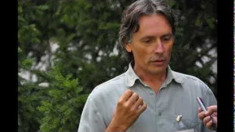 EUFGIS Portal: new tool for conservation of forest genetic resources