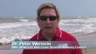 Beach Safety Tips
