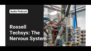 Rossell Techsys Pure-Play Ad Tier-1 Supplier Nervous System Of The Aircraft