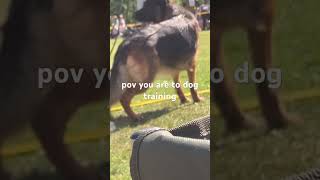 dog training