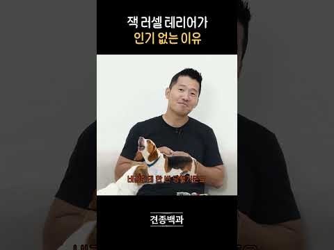 이미 한 번 당했기 때문...