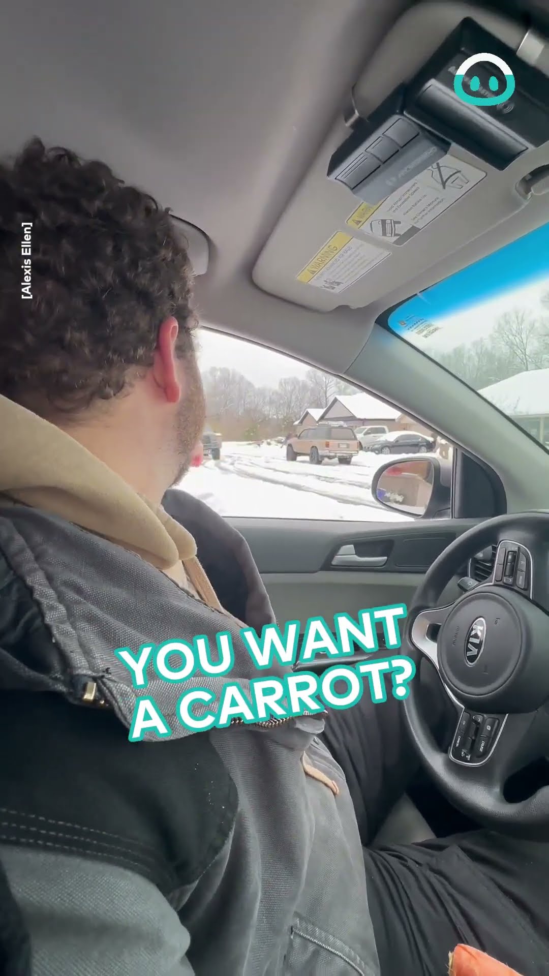 Handing Out Extra Carrots To Snowman Builders || ViralHog