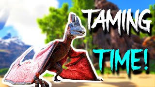 Taming a surprisingly average pteranodon... | ARK: Lost Island #ark #arksurvival #lostisland