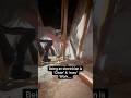 People think electricians have easy clean work… 😂