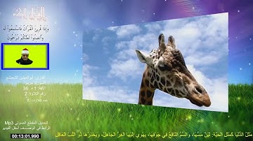 تلاوة حزينة جداً وأجمل 7 تلاوات للشيخ ابو العينين الشعيشع