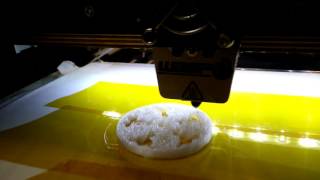 Open Day Facoltà Scientifiche - Stampante 3D In Funzione