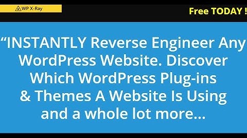 WP Xray Review Sarah Staar