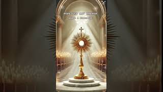 POPE LEO  XIV PRAYER #prayer #popeleoxiv #popeleo #shortfeed #catholicprayer #trendingshorts