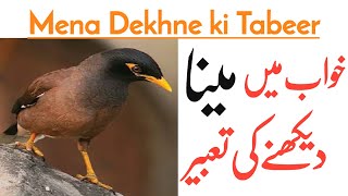 khwab ki Tabeer Khwab Mein Myna parinda Dekhna ki Tabeer in Urdu