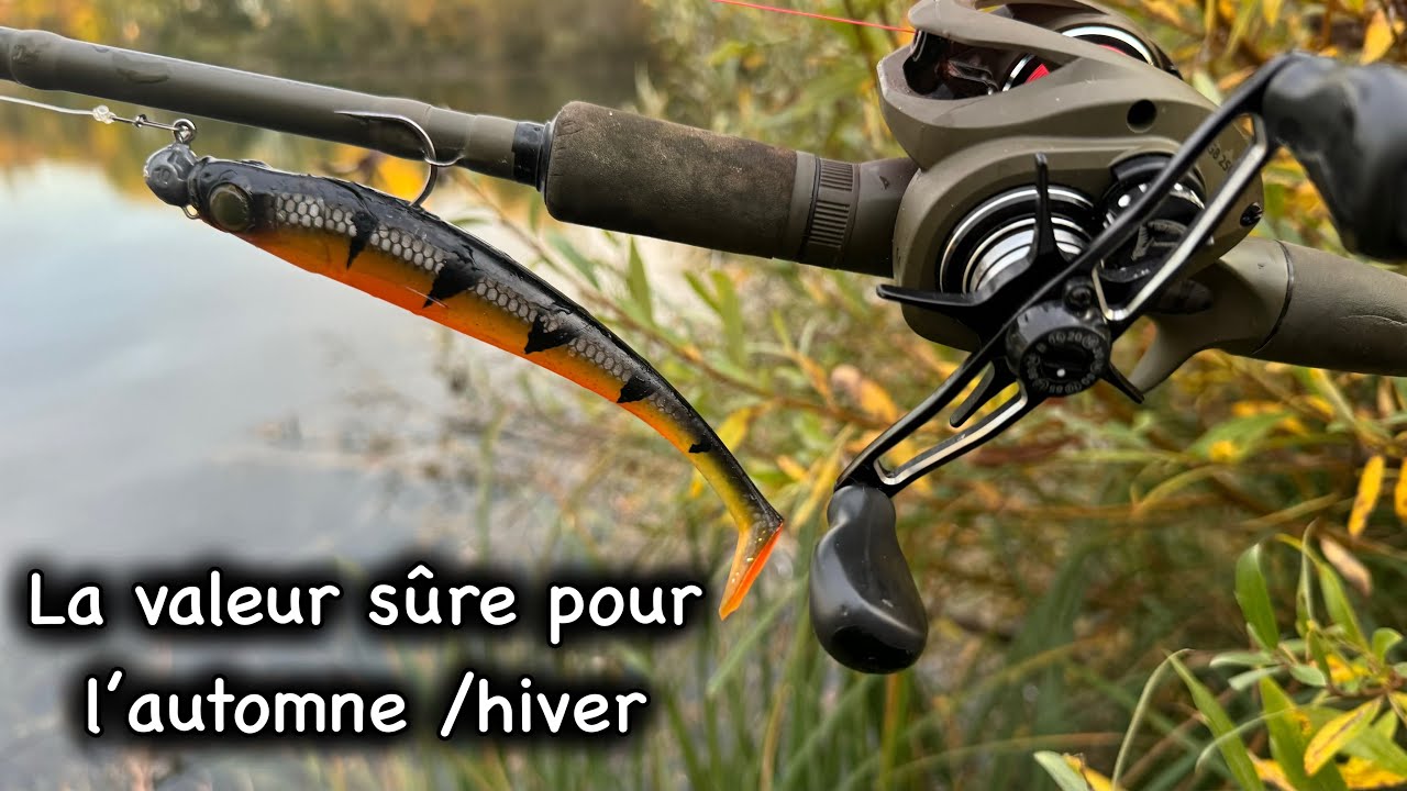Un bon leurre pour la pêche du brochet en automne/hiver 