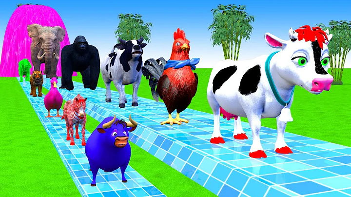 Long Slide Game With Cow Elephant Gorilla Hippopotamus Tiger 3d Animal Game Funny 3d Animals