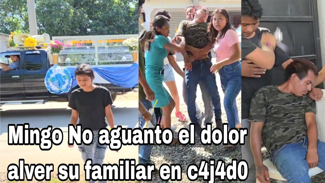 En plena Calle Mingo se desmaya al Ver a su Familiar pasar en CAJA😭