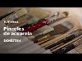 TUTORIAL Acuarela: pinceles, tipos y cuidado | Naranjalidad | Domestika