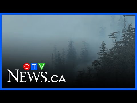 Park evacuated as