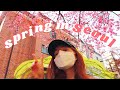 SPRING IS HERE 🌸 a simple week of my life in seoul, korea vlog