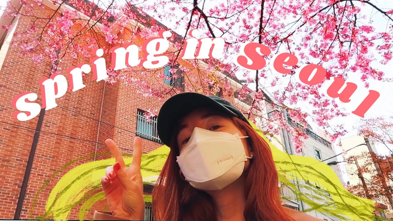 SPRING IS HERE 🌸 a simple week of my life in seoul, korea vlog - YouTube