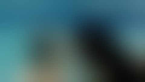 SOKO :: We Might Be Dead By Tomorrow (Official Video)