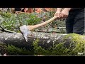 Felling A Tree With A Sharp Axe mp3