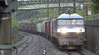 JR貨物EF210形EF210-154号機 新塗装 北府中 2025/11/09