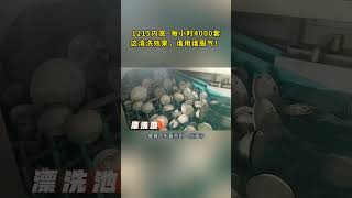 Centralized Washing &amp; Disinfection Conveyor Dishwasher for Tableware Distribution.#dishwasher