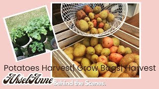 #GrowMoreWithLess: Plant a Potato Harvest at Home in Easy Grow Bags