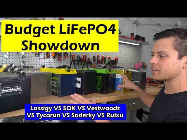 Budget LiFePO4 Showdown: Lossigy VS SOK VS Vestwoods VS Tycorun VS