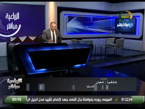 شعبان من المنيا يطالب بمعرفة سعر البصل وهل يوجد تصدير ام لا