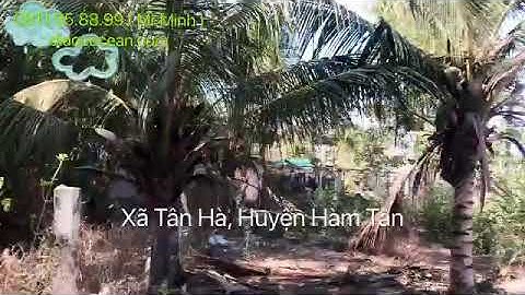 27 x 150 mặt tiền Quốc Lộ 55 - Tân Hà - Hàm Tân - Bình Thuận