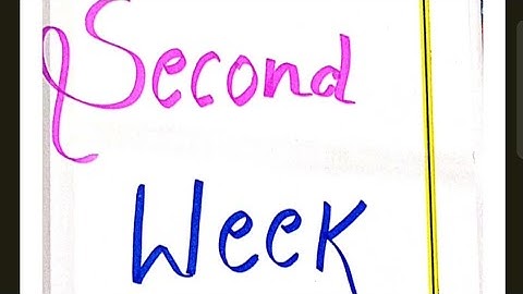 B.ED sem 2 || EPC 2 || SCHOOL OBSERVATION FILE || Second Week|| School Observation File in Hindi