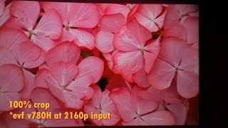 Download Lagu Aliexpress V780H EVF 4k input Test MP3 Download Lagu Aliexpress V780H EVF 4k input Test MP3
